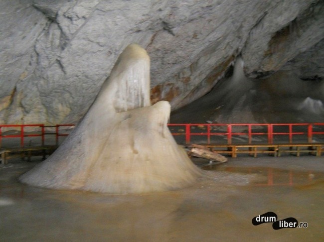 Bot de rechin în Peștera Scărișoara