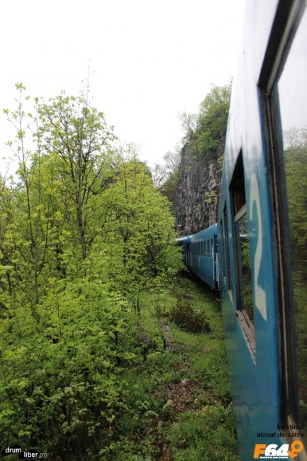 Stâncă, pădure și trenul nostru