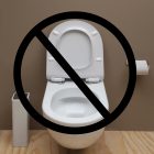 Constipația: interzis la WC